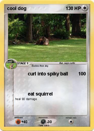 Pokemon cool dog
