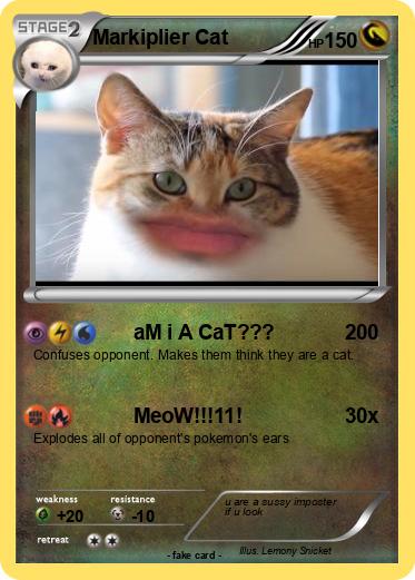 Pokemon Markiplier Cat