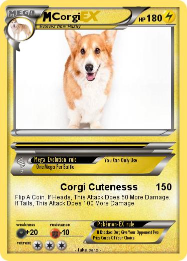 Pokemon Corgi
