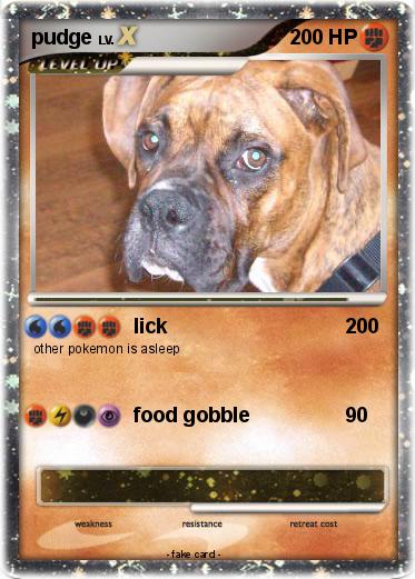 Pokemon pudge