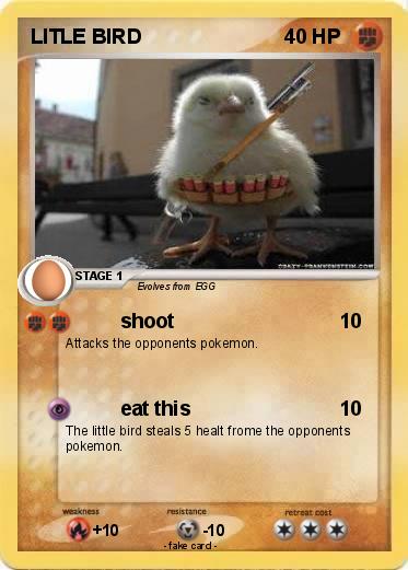 Pokemon LITLE BIRD