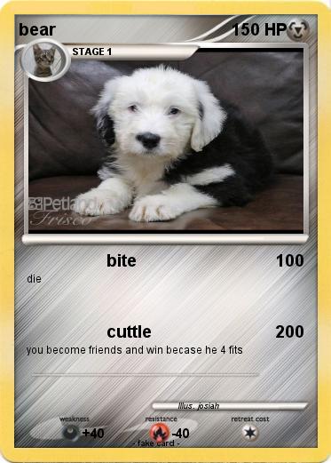Pokemon bear