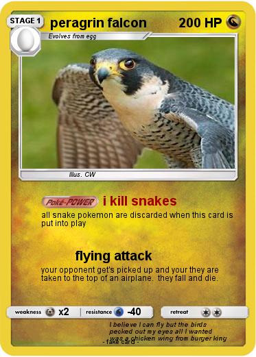 Pokemon peragrin falcon