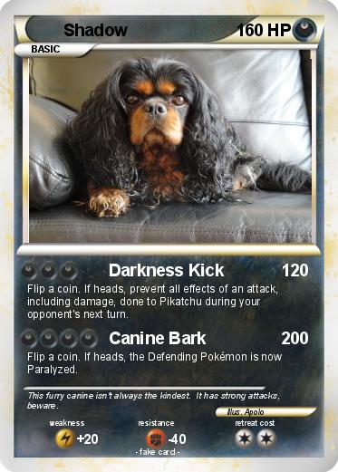 Pokemon Shadow