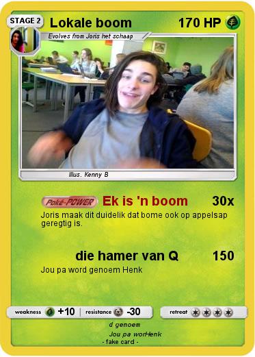 Pokemon Lokale boom