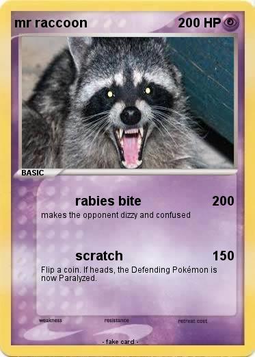 Pokemon mr raccoon