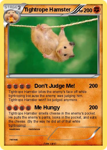 Pokemon Tightrope Hamster