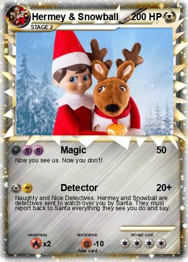 Pokemon Hermey & Snowball