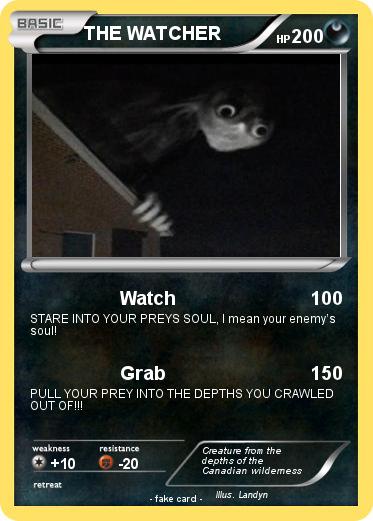 Pokemon THE WATCHER