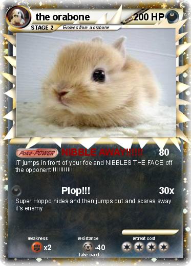 Pokemon the orabone