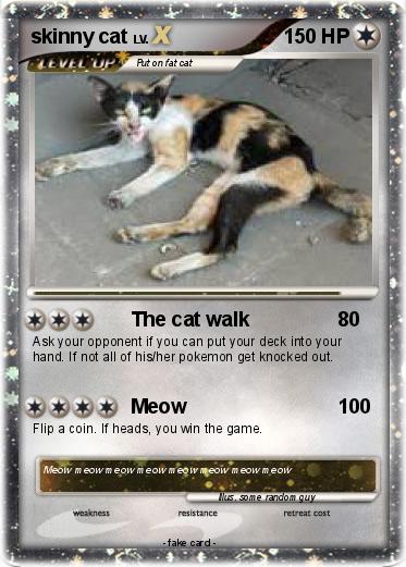 Pokemon skinny cat