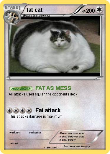 Pokemon fat cat
