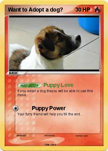 Pokemon Want to Adopt a dog?