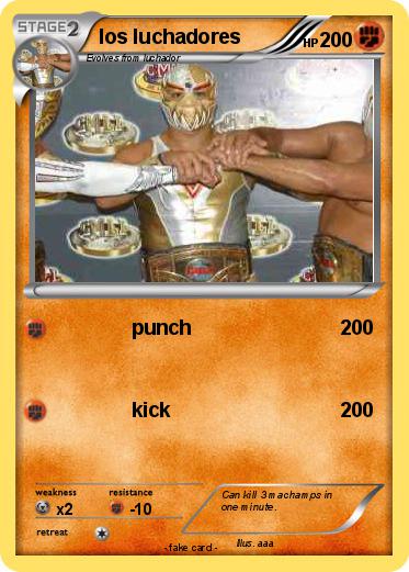 Pokemon los luchadores