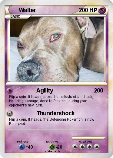 Pokemon Walter