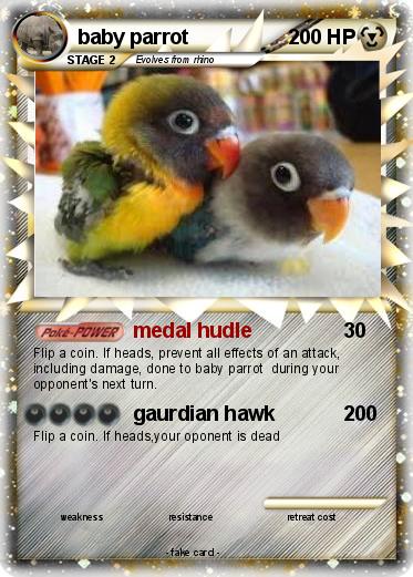 Pokemon baby parrot