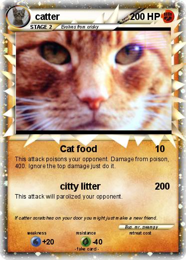 Pokemon catter