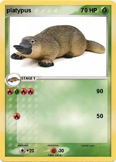 Pokemon platypus