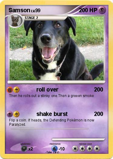 Pokemon Samson