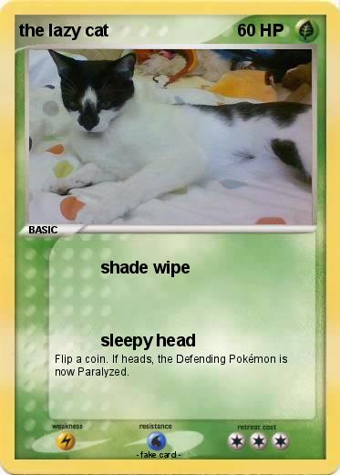Pokemon the lazy cat