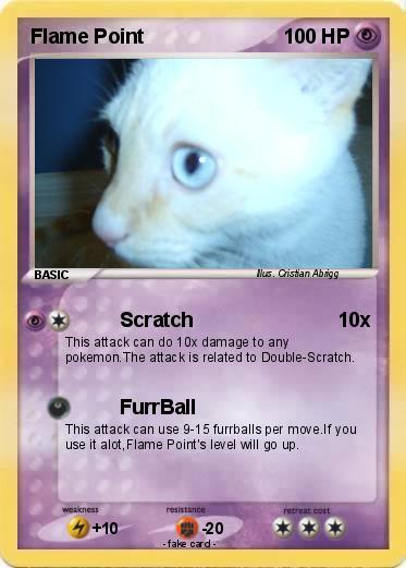 Pokemon Flame Point
