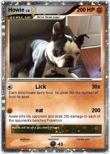 Pokemon Howie