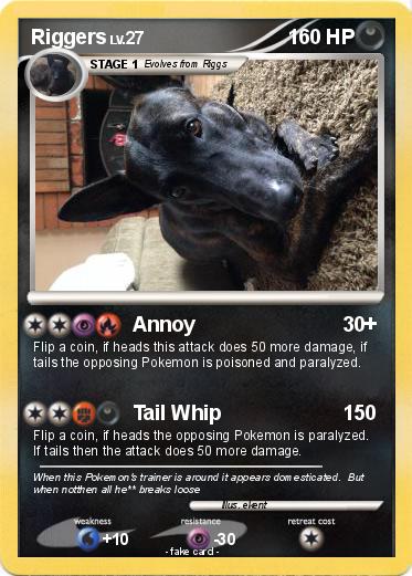 Pokemon Riggers