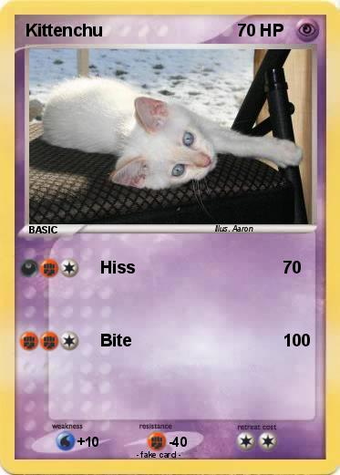 Pokemon Kittenchu