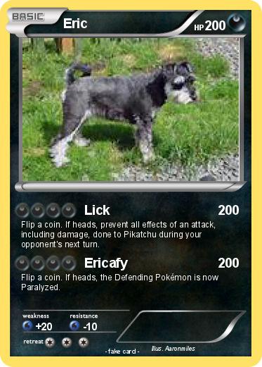 Pokemon Eric