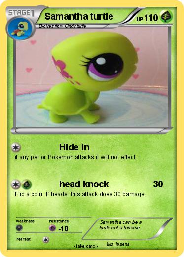 Pokemon Samantha turtle