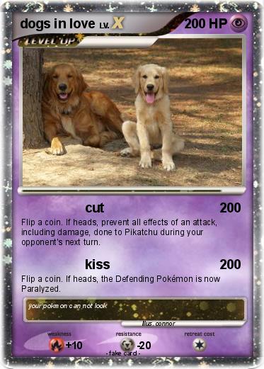 Pokemon dogs in love