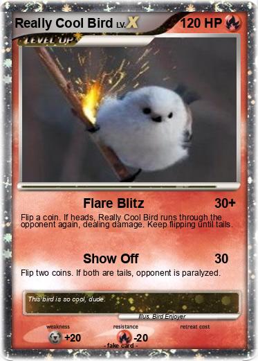 Pokemon Really Cool Bird