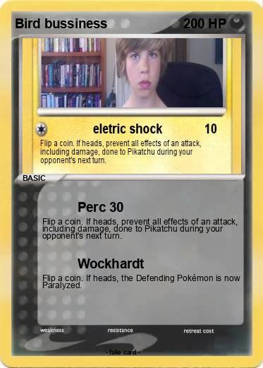 Pokemon Bird bussiness