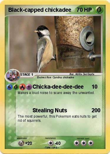 Pokemon Black-capped chickadee
