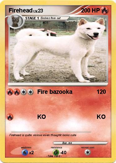 Pokemon Firehead