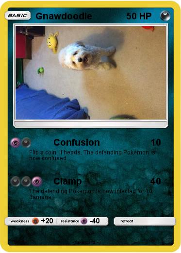 Pokemon Gnawdoodle