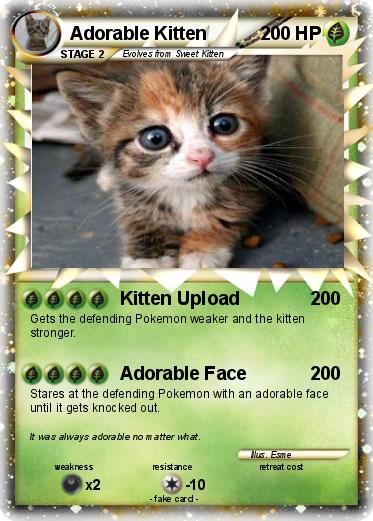 Pokemon Adorable Kitten