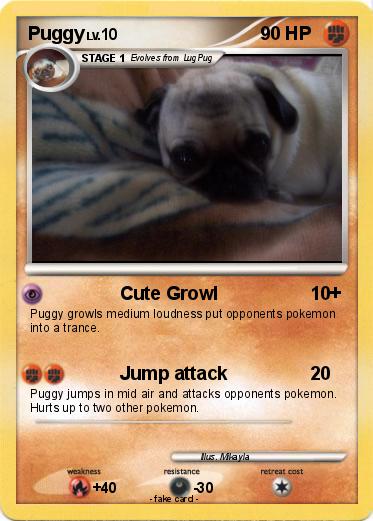 Pokemon Puggy