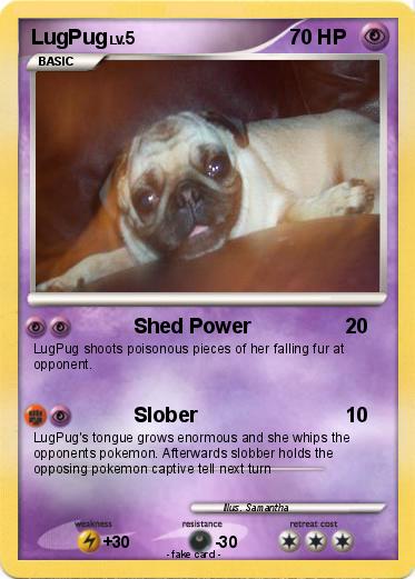 Pokemon LugPug