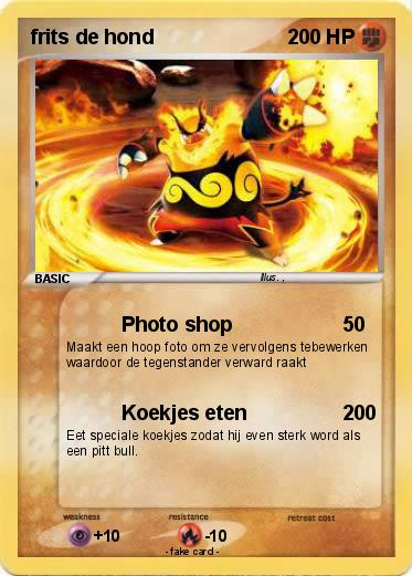 Pokemon frits de hond