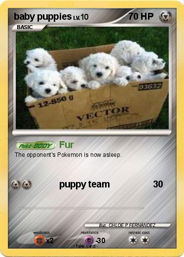 Pokemon baby puppies