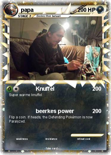 Pokemon papa