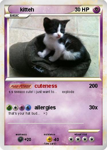 Pokemon kitteh
