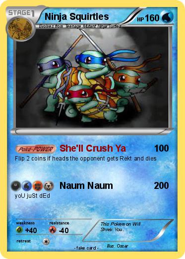 Pokemon Ninja Squirtles