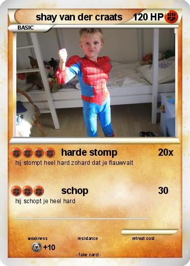 Pokemon shay van der craats