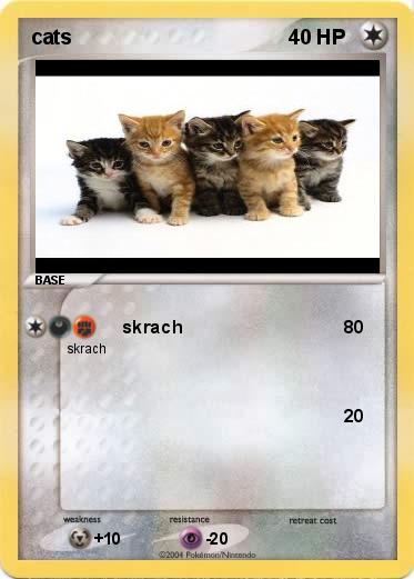 Pokemon cats