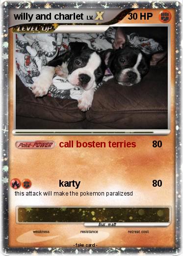 Pokemon willy and charlet