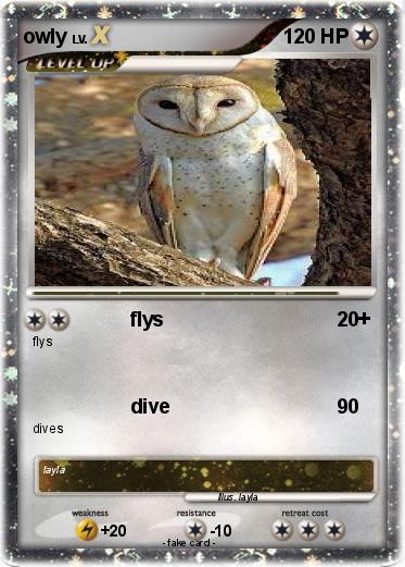 Pokemon owly