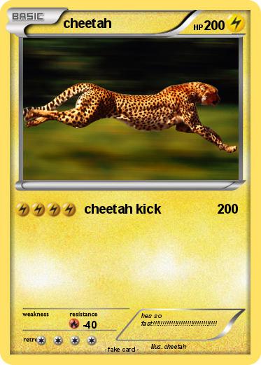 Pokemon cheetah