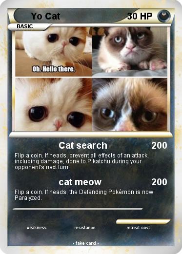 Pokemon Yo Cat